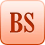 bs android application logo